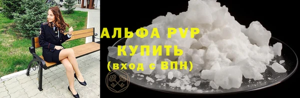 сатива Новодвинск
