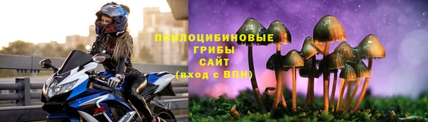 сатива Новодвинск