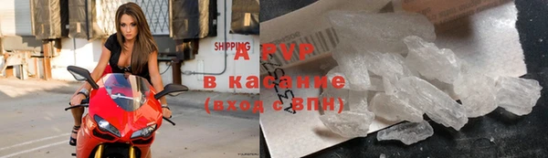 СК Новозыбков