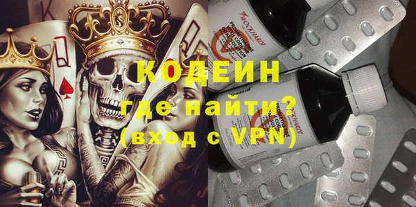 сатива Новодвинск