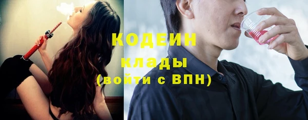 СК Новозыбков