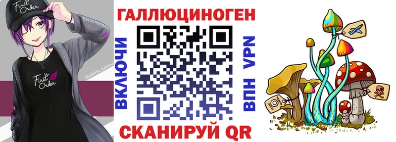 Псилоцибиновые грибы Psilocybine cubensis  Россошь 