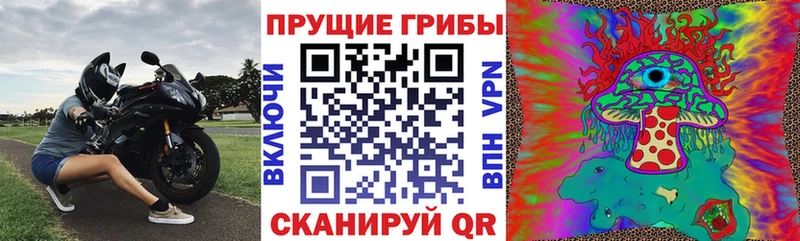 Галлюциногенные грибы MAGIC MUSHROOMS Россошь
